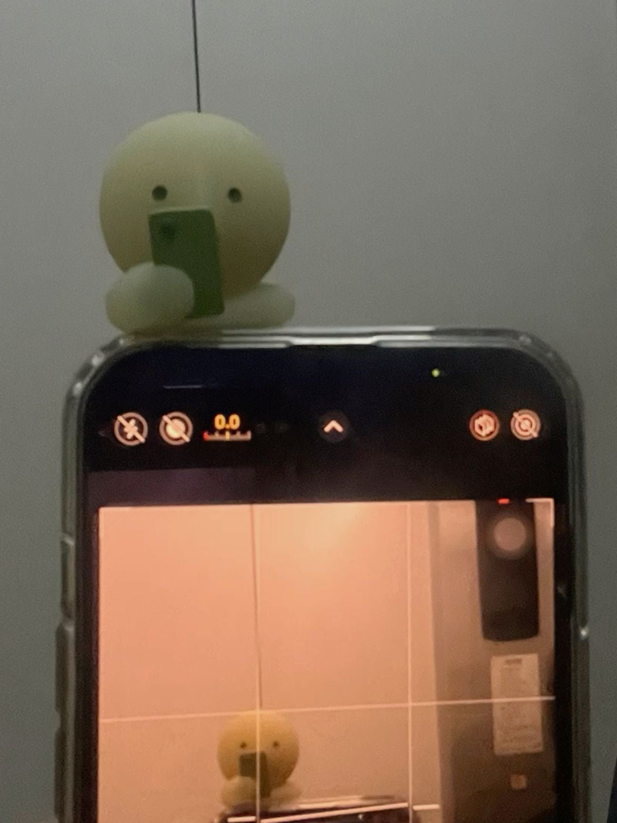 Smiski hippers light in dark