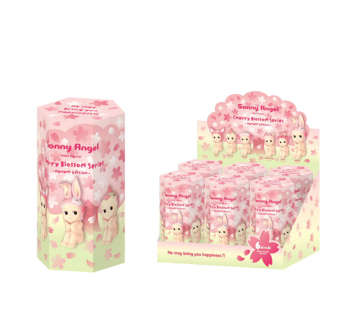 Sony angel cherry blossom 🌸